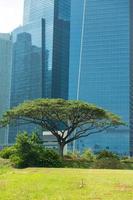 byggnader i singapores skyline foto