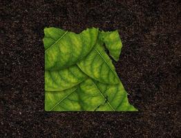 Egypten karta gjord av gröna löv, koncept ekologi karta grönt blad på jord bakgrund foto
