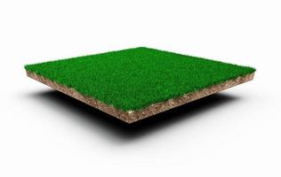 kvadrat av grönt gräs fält över vit bakgrund grönt gräs och sten marken textur tvärsnitt med 3d illustration foto