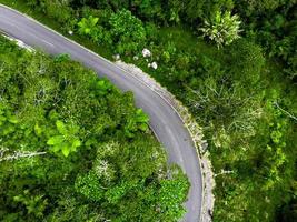flygfoto av vägen i den tropiska skogen foto