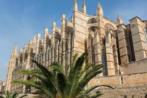 kupolen i Palma de Mallorca, Spanien foto