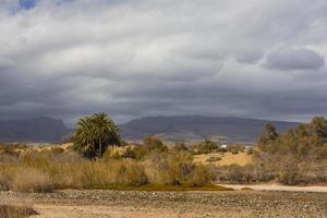 oas i maspalomas dunas foto