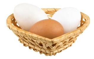 ägg isolerad på vit bakgrund foto
