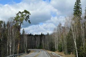 motorväg bland taigan i östra Sibirien foto