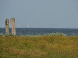 hallig hooge i tyska Nordsjön foto