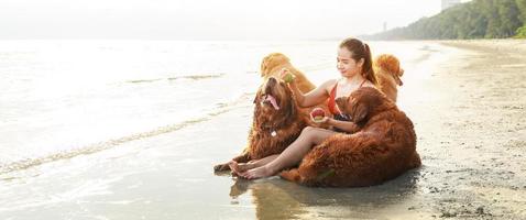 banner storlek foto, ung kvinna sitter och leker med sina hundar på stranden i solnedgången. avkoppling med ett husdjur. foto