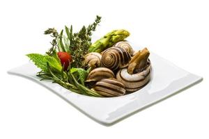 escargot med sparris, rosmarin, tymus och tomat foto