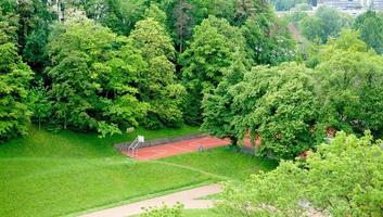 sportfält i skogen foto