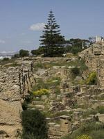 staden tunis i tunisien foto