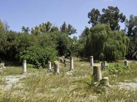 staden tunis i tunisien foto