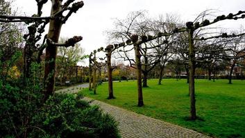 park i Brugge foto