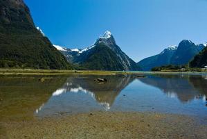 milford sound, Nya Zeeland foto