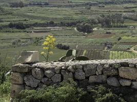 ön Gozo vid Medelhavet foto