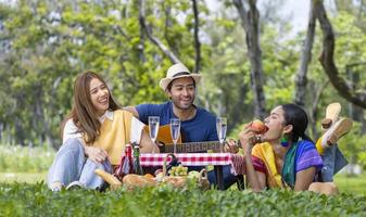 grupp av ung mångfald nära vän har en picknick i trädgården medan du njuter av att sjunga musik i den offentliga utomhusparken under sommaren med glädje och lycka foto