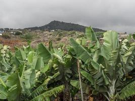 ön lanzarote foto