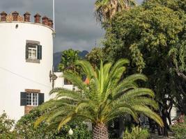 ön madeira i portugal foto