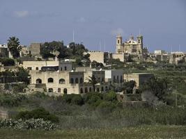 ön Gozo vid Medelhavet foto