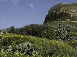 ön Gozo vid Medelhavet foto