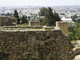 staden tunis i tunisien foto