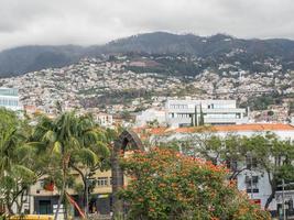 ön madeira foto