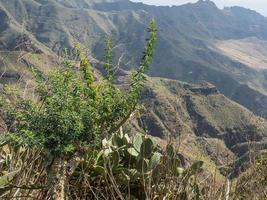 ön teneriffa i spanien foto