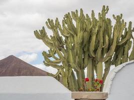 lanzarote ön i spanien foto