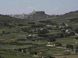 ön Gozo vid Medelhavet foto