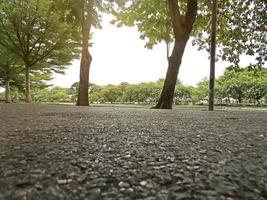 gångvägar i offentliga parker i thailand foto