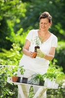 kvinna som planterar örter i trädgården foto