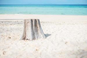 vackert hav och strand på bambuön på phi phi don island, krabi, thailand. destination, sommarresor, semester och semesterkoncept foto