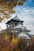 osaka slott under höstens lövverk säsong, är ett berömt japanskt slott, landmärke och populärt för turistattraktioner i osaka, kansai, japan foto