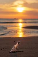 glasflaska sopor på stranden mot solnedgången bakgrund. ekologi, miljö, föroreningar och ekologiska problembegrepp foto