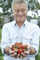 äldre man på tilldelning som håller nyplockade jordgubbar