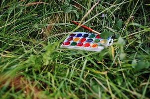 närbild foto av akvarell palett med pensel på gräset.