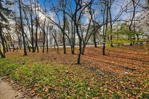 park i klodzko stad i Polen foto