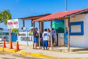 chiquila quintana roo mexico 2021 panorama landskap båtar hamn hamn färjor puerto de chiquila mexico. foto