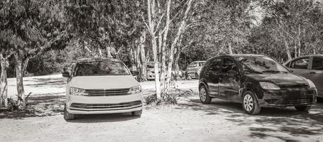 tulum quintana roo mexico 2022 parkeringsplats med bilar djungel till kaan luum lagun mexico. foto