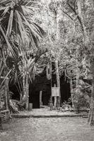 fantastiskt blått turkost vatten och kalkstensgrotta sjunkhål cenote mexico. foto