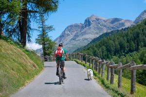 man på mountainbike på bergsvägen i sällskap med sin hund foto