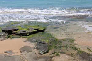 Medelhavets steniga kust i norra Israel foto