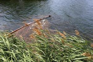 fullflödande Donau i den österrikiska huvudstaden Wien foto