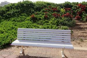 bänk för vila i en stadspark vid Medelhavets stränder. foto