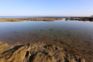 Medelhavets steniga kust i norra Israel foto