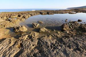 Medelhavets steniga kust i norra Israel foto
