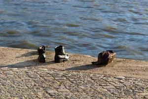 skor - ett minnesmärke över förintelsens offer på Donaus strand i budapest foto
