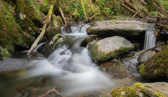 vattenmassor, Endert Creek, Tyskland foto