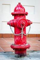 röd hydrant foto