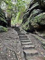 utsikt över landsbygden i Shropshire vid hawkstone på vintern foto