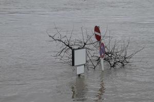 extremt väder - översvämmad fotgängarzon i Köln, Tyskland foto