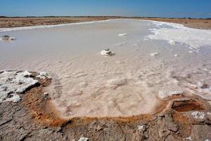 Salta vatten runt sjön Macleod nära Carnarvon, västra Australien, 2012. foto